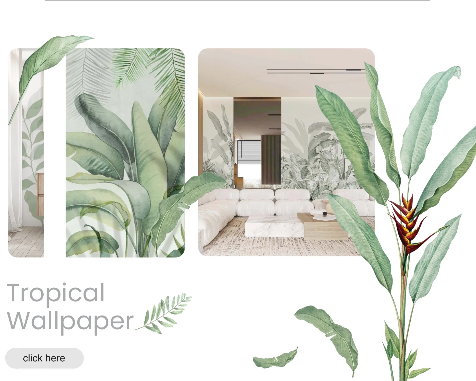 Wallpaper Design ideas for with tropical vibe